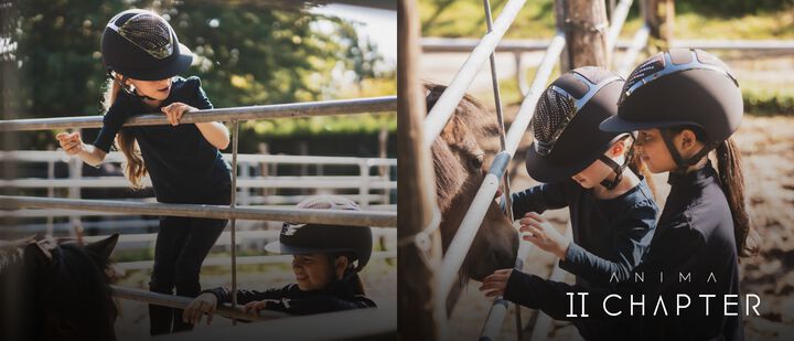 ANIMA II CHAPTER COLLECTION